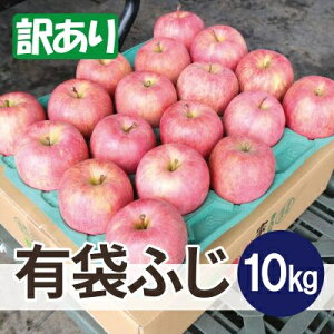 �y�ӂ邳�Ɣ[�Łz�y26�N5���o�ח\��z���ϓ��x13�x�ȏ�! �L�܂ӂ� ��10kg �󂠂� CA���� �N�[���ցy�z���s�n��F�����E���ꌧ�z�y1613040�z