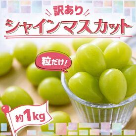 【ふるさと納税】【訳あり】粒だけ!青森市産　シャインマスカット(約1kg)【配送不可地域：離島】【1613276】
