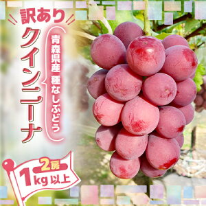 yӂ邳Ɣ[Łz2026Ny󂠂zȂԂǂ XYNCj[i 2[(1.0kg`1.2kg)yzsnFzy1613277z