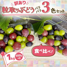 【ふるさと納税】【訳あり】粒取り ぶどう バラバラ3色セット 計1kg(500g×2パック)食べ比べ!【配送不可地域：離島】【1613279】