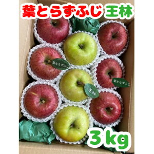 yӂ邳Ɣ[Łzs\yXsYEntƂ炸ӂ&сz3kg(ƒp)y1613751z