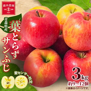 yӂ邳Ɣ[Łz t炸ӂ  3kg (9`12)_  ь S ӂ tW ʕ  t[c t炸 X Yn   lC   M