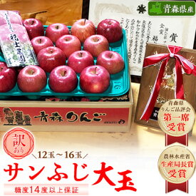 【ふるさと納税】【りんご品評会最高賞】大玉 約5kg 糖度14度以上保証 訳あり 家庭用 りんご 「サンふじ」【配送不可地域：離島】【1111237】
