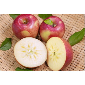 yӂ邳Ɣ[Łzy2025N12\zϓx13xȏ! ĂȂptƂ炸Tӂ 3kgyzsnFzy1682159z