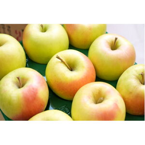 yӂ邳Ɣ[Łzy2025N12\zx13xȏۏ!ܖĂȂp3kg(6`18)yzsnFzy1682184z