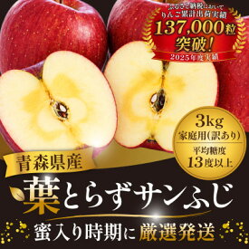 【ふるさと納税】【26年11月から発送】平均糖度13度以上! 蜜入り葉とらずサンふじ 約3kg 訳あり 青森りんご【配送不可地域：離島・沖縄県】【1694670】