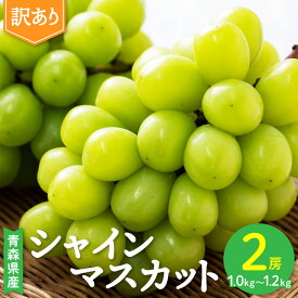 【ふるさと納税】2026年発送【訳あり】青森市産シャインマスカット 2房(1kg以上)【配送不可地域：離島・沖縄県】【1492539】