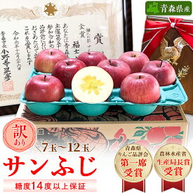 【ふるさと納税】「サンふじ」約3kg・糖度14度以上保証・訳あり 家庭用 りんご 【青森県りんご品評会第一席受賞】_ りんご 林檎 リンゴ サンふじ 果物 くだもの フルーツ 青森 りんご品評会 青森市長賞 訳あり 規格外 傷 不揃い おすすめ 【配送不可地域：離島】【1106865】