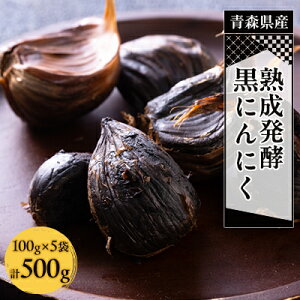 yӂ邳Ɣ[ŁzXYnyɂɂ500g(100g×5)_B-17y1142322z