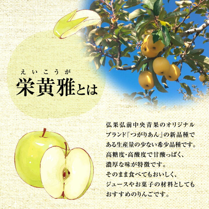 楽天市場】【ふるさと納税】弘前アップルパイ 栄黄雅（えいこうが 