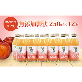 【ふるさと納税】りんごジュース RICH APPLE　無添加製法　12本セット（250ml×12本）　【りんご・ジュース・飲料類・果汁飲料・セット】