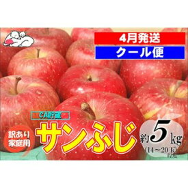 【ふるさと納税】【クール便】4月発送 白熊 訳あり家庭用 サンふじ 約5kg 糖度13度【弘前市産・青森りんご・CA貯蔵】　【 果物 フルーツ 食後 デザート シャキシャキ ジューシー りんごの王様 】　お届け：2024年4月1日～2024年4月30日