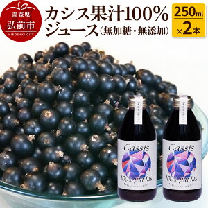 yӂ邳Ɣ[Łzyr[Ly[zJVXʏ`100W[XiEYj250ml×2{yʏ`z