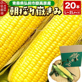 【ふるさと納税】【26年8月下旬〜クール便発送】とうもろこし【先行受付】朝採り嶽きみ 20本（L〜2Lサイズ）弘前市嶽高原産 [先行予約 おいしい お野菜 コーン だけきみ とうもろこし ひろさき ブランド もろこし やさい 健康 弘前 青森 美味]