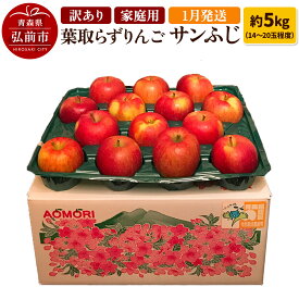 【ふるさと納税】りんご 訳あり家庭用【年明け発送】葉取らず サンふじ 約5kg（14〜20玉程度）青森県特別栽培農産物認証農園
