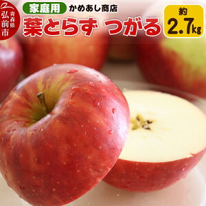 yӂ邳Ɣ[Łzyr[Ly[zy25N9z tƂ炸 yƒpz2.7kg S[h_