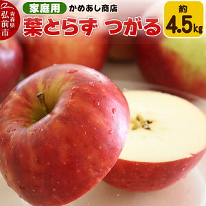 yӂ邳Ɣ[Łzyr[Ly[zy25N9z tƂ炸 yƒpz4.5kg S[h_