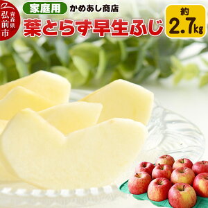 yӂ邳Ɣ[Łzyr[Ly[zy25N10z tƂ炸 ӂyƒpz2.7kg S[h_