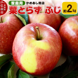 yӂ邳Ɣ[Łzyr[Ly[zy25N11z tƂ炸 ӂyƒpz2kg S[h_