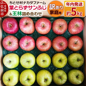 yӂ邳Ɣ[Łzyr[Ly[zy25N11`z tƂ炸Tӂ   lߍ킹 5kg ƒp 󂠂 Ƃ