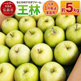 【ふるさと納税】 【26年1月発送】りんご【家庭用】王林 約5kg