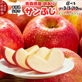 【ふるさと納税】【25年11月〜発送】りんご【訳あり ご家庭用】サンふじ【選べるキロ数：3kg 5kg 10kg】青森県産 青森 果物 フルーツ 林檎 リンゴ くだもの