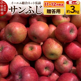 【ふるさと納税】【レビューキャンペーン】【25年11月〜発送】りんご 贈答用 サンふじ 約3kg 糖度 13度以上【蜜入り】EMりんご
