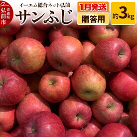 【ふるさと納税】【レビューキャンペーン】【26年1月発送】りんご 贈答用 サンふじ 約3kg 糖度 13度以上 EMりんご