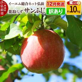 【ふるさと納税】【レビューキャンペーン】【25年12月発送】りんご【訳あり】葉取らず サンふじ 約10kg 糖度 13度以上【蜜入り】EMりんご