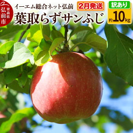 【ふるさと納税】【レビューキャンペーン】【26年2月発送】りんご【訳あり】葉取らず サンふじ 約10kg 糖度 13度以上 EMりんご