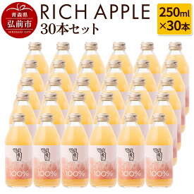【ふるさと納税】 りんごジュース RICH APPLE 30本セット（250ml×30本）