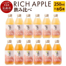【ふるさと納税】 りんごジュース RICH APPLE 飲み比べ 12本セット（250ml×12本）