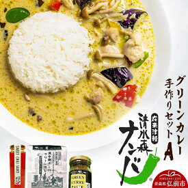 【ふるさと納税】 清水森ナンバ・グリーンカレー手作りセットA