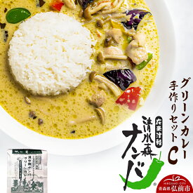 【ふるさと納税】清水森ナンバ・グリーンカレー手作りセットC [Curry おいしい カレー セット セット品 美味]