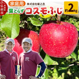 【ふるさと納税】りんご 權之丞 葉とらずりんご コスモふじ 家庭用 約2kg【弘前市産・青森りんご】