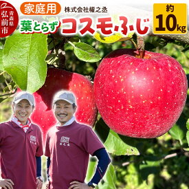 【ふるさと納税】りんご 權之丞 葉とらずりんご コスモふじ 家庭用 約10kg【弘前市産・青森りんご】