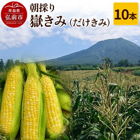 【ふるさと納税】【26年8月発送】とうもろこし 朝採り 嶽きみ（だけきみ）10本 [おいしい コーン だけきみ とうもろこし ブランド もろこし 青森 美味 嶽きみ]
