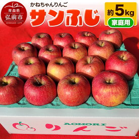 【ふるさと納税】【26年12月発送】りんご サンふじ 約5kg 家庭用【先行受付】かねちゃんりんご 青森 果物 フルーツ 林檎 リンゴ くだもの 予約 [アップル おいしい ふじ りんご 果実 果物 赤色 美味 林檎]