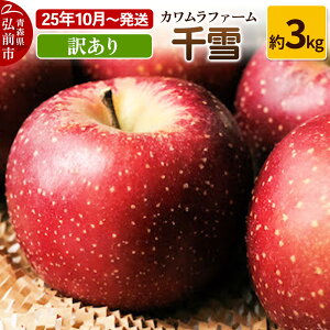 yӂ邳Ɣ[Łzyr[Ly[zy25N10`z  3kg Jt@[ 󂠂ystz X ʕ t[c ь S  \