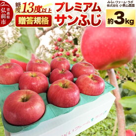 【ふるさと納税】【26年12月発送】りんご 糖度13度以上【贈答規格】プレミアム サンふじ 約3kg 先行受付 [先行予約 アップル おいしい ふじ りんご 果実 果物 フルーツ 赤色 美味 林檎 贈答]