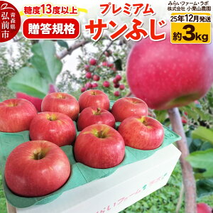【ふるさと納税】【25年12月発送】りんご 糖度13度以上【贈答規格】プレミアム サンふじ 約3kg