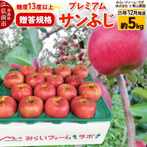 yӂ邳Ɣ[Łzy25N12z x13xȏyKizv~A Tӂ 5kg