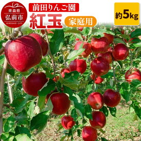 【ふるさと納税】【26年10月発送】りんご【家庭用】紅玉 約5kg 前田りんご園 [青森産 りんご 紅玉 アップル 林檎 リンゴ 果物 果実 美味 青森県 弘前市]