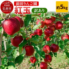 【ふるさと納税】【26年10月発送】りんご【訳あり】紅玉 約5kg 前田りんご園 [青森産 りんご 紅玉 アップル 林檎 リンゴ 果物 果実 美味 青森県 弘前市]