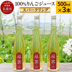 【ふるさと納税】スパークリング100%りんごジュース（3本入り） りんご果汁100％