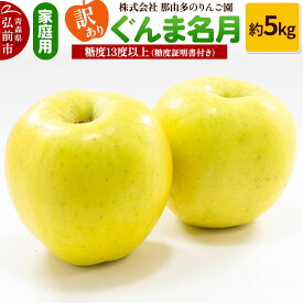 【ふるさと納税】【25年11月〜発送】りんご【訳あり】家庭用 ぐんま名月 約5kg 糖度13度以上（糖度証明書付）【先行受付】 青森 果物 フルーツ 林檎 リンゴ くだもの 不揃い 規格外 予約