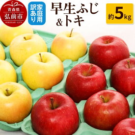【ふるさと納税】【26年10月発送】りんご【訳あり】家庭用 早生ふじ＆トキ 約5kg [アップル おいしい トキ ふじ りんご 黄色 果実 果物 赤色 早生 美味 林檎]