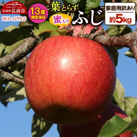 【ふるさと納税】【26年12月上旬〜発送】りんご 13度糖度保証【訳あり】家庭用 蜜入り 葉とらずふじ 約5kg 先行受付 [アップル おいしい ふじ りんご 果実 果物 赤色 糖度 美味 葉っぱ 葉とらず 林檎]