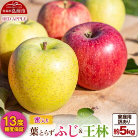 【ふるさと納税】【26年12月上旬〜発送】りんご 13度糖度保証【訳あり】家庭用 蜜入り 葉とらずふじ＆王林 約5kg 先行受付 [アップル おいしい ふじ りんご 王林 黄色 果実 果物 赤色 糖度 美味 葉っぱ 葉とらず 林檎]