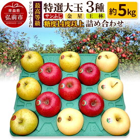 【ふるさと納税】【26年12月〜発送】りんご 最高等級 特選大玉 3種詰め合わせ 約5kg（サンふじ・金星・王林）糖度14度以上 先行受付 [先行予約 アップル おいしい ふじ りんご 王林 黄色 果実 果物 詰め合わせ 詰合 赤色 糖度 美味 林檎]